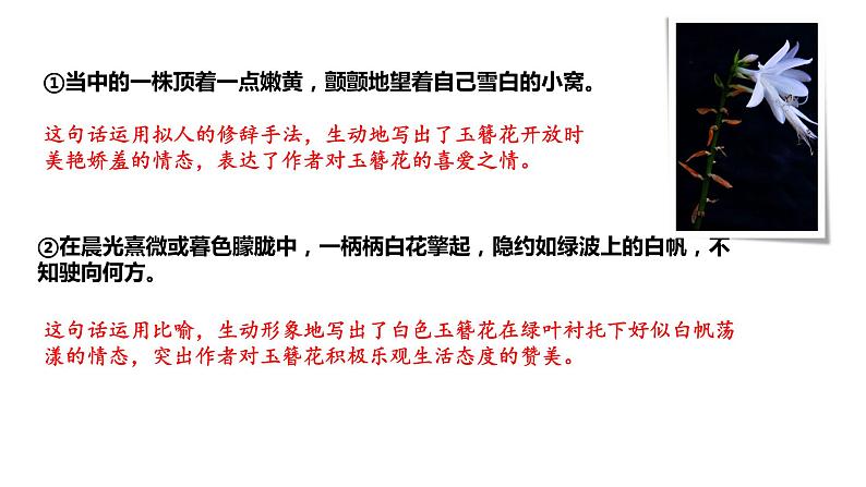 第18课 紫藤萝瀑布  第2课时 课件03