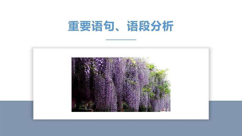 第18课 紫藤萝瀑布  第2课时 课件05