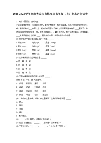 2021-2022学年湖南省益阳市桃江县七年级（上）期末语文试卷（含答案解析