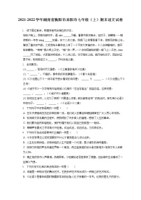 2021-2022学年湖南省衡阳市耒阳市七年级（上）期末语文试卷(含答案解析)