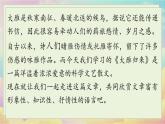 人教语文八下 第2单元 7《大雁归来》 PPT课件