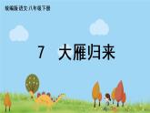 人教语文八下 第2单元 7《大雁归来》 PPT课件