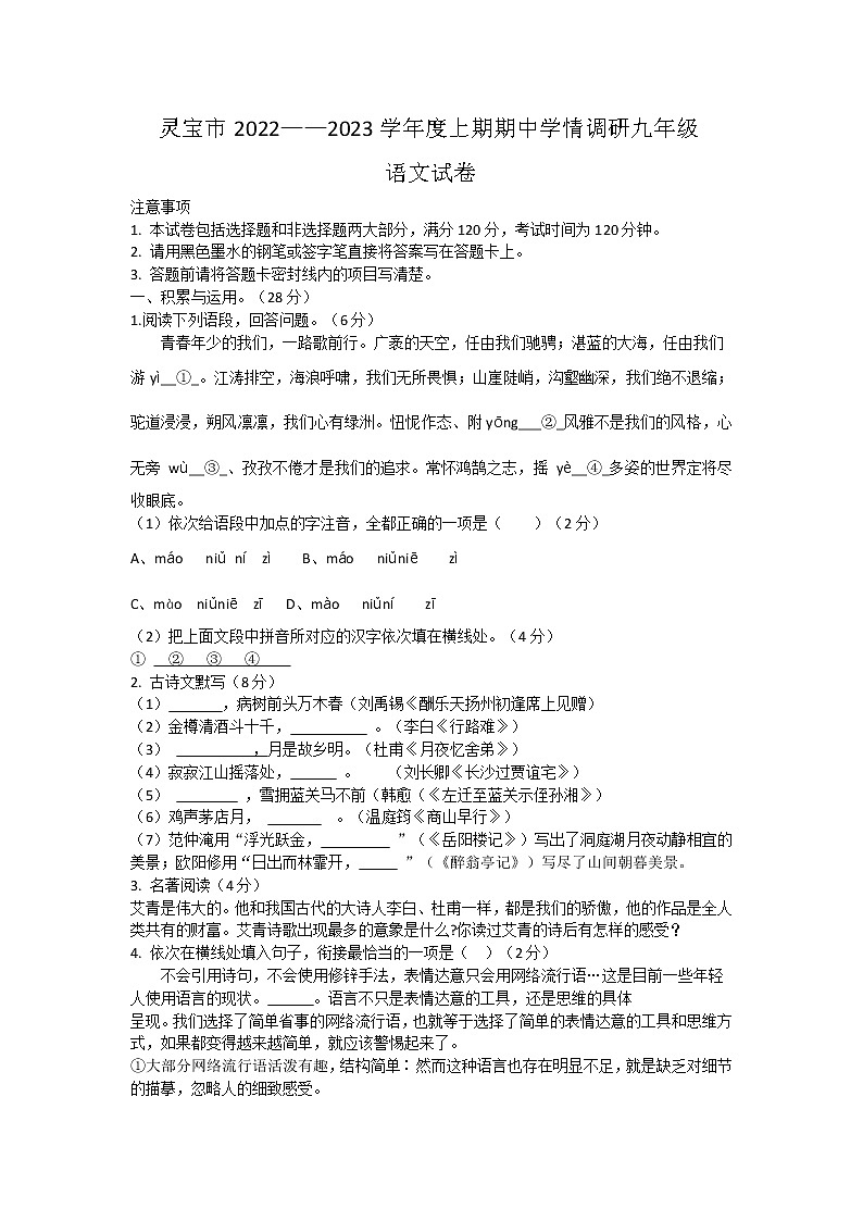 河南省灵宝市2022-2023学年九年级上学期期中考试语文试卷（含答案）第1页