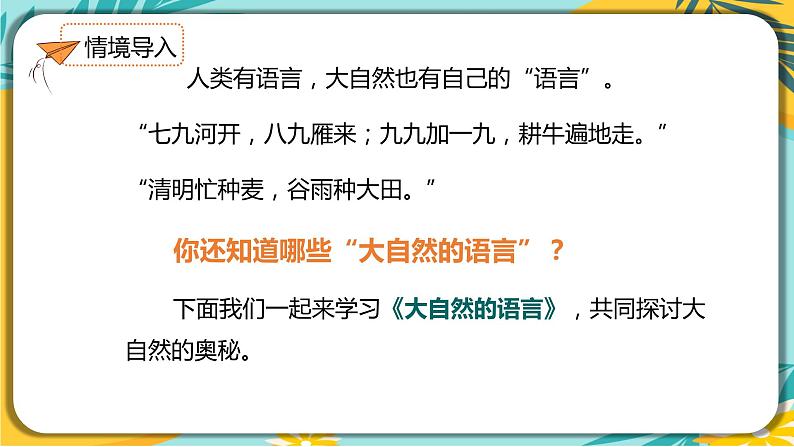 人教部编版语文八年级下册 第二单元第5课 《大自然的语言》课件02