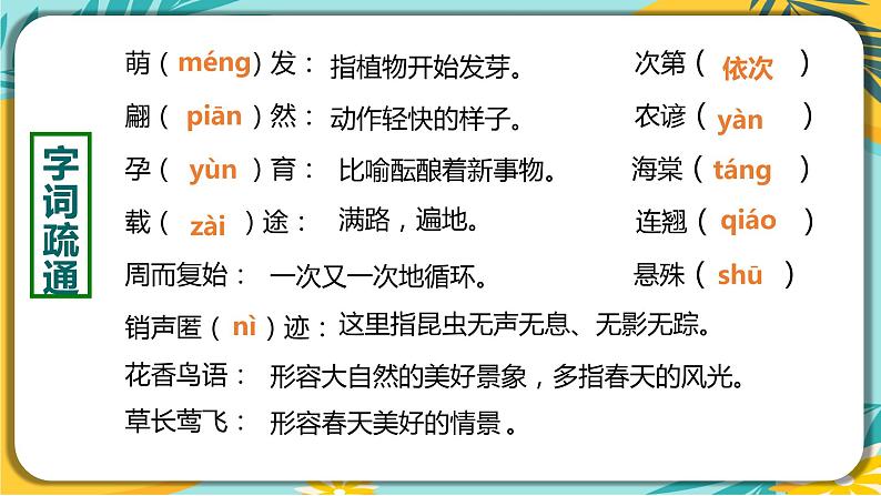 人教部编版语文八年级下册 第二单元第5课 《大自然的语言》课件06