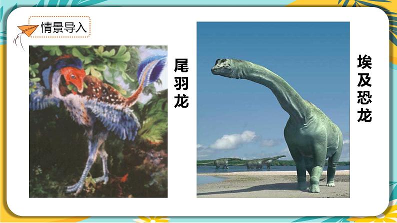 人教部编版语文八年级下册 第二单元第6课《阿西莫夫短文两篇》课件08