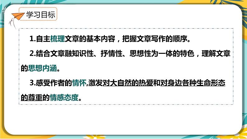 人教部编版语文八年级下册 第二单元第7课《大雁归来》课件04