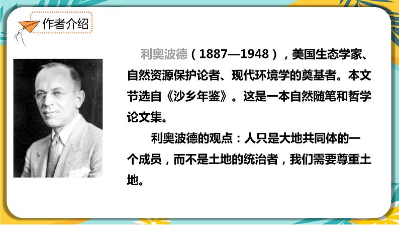 人教部编版语文八年级下册 第二单元第7课《大雁归来》课件05