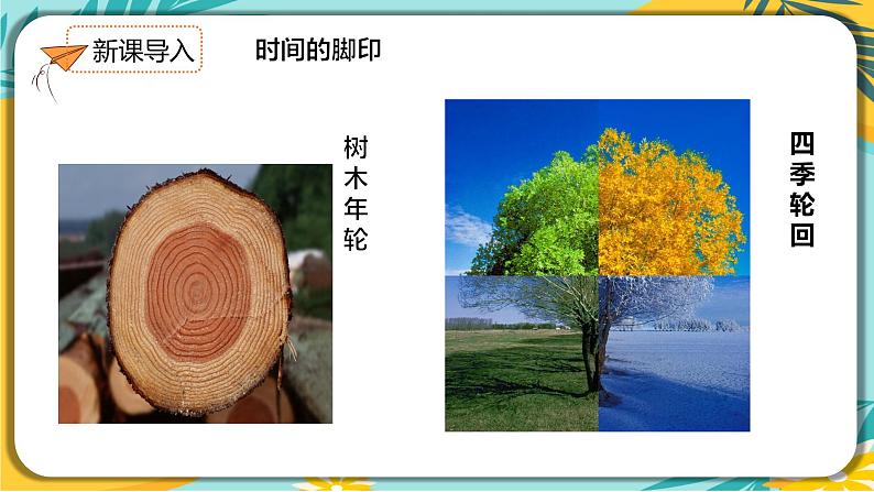 人教部编版语文八年级下册 第二单元第8课《时间的脚印》课件04