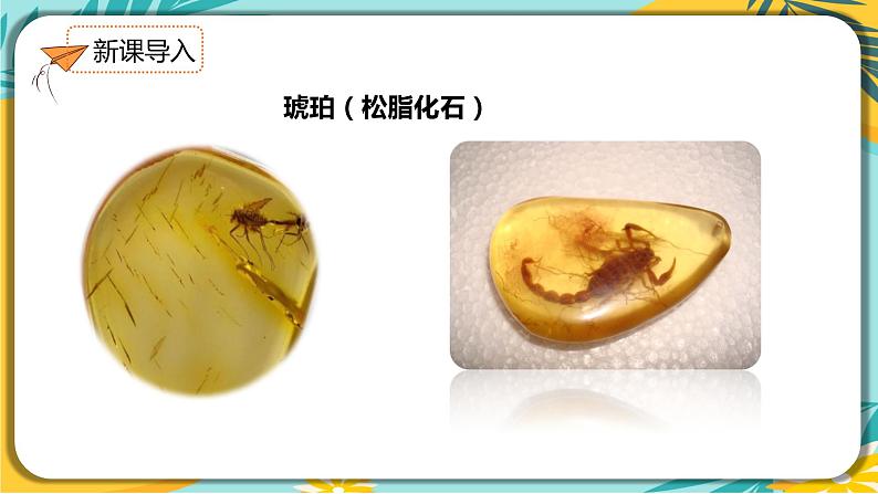 人教部编版语文八年级下册 第二单元第8课《时间的脚印》课件05