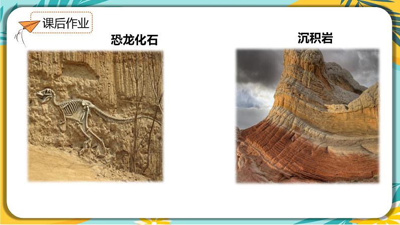 人教部编版语文八年级下册 第二单元第8课《时间的脚印》课件06