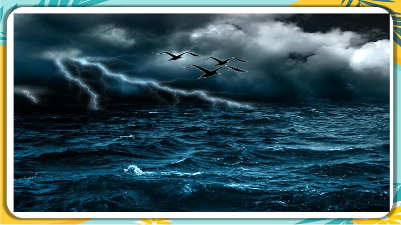 【部编版】语文九年级下册 第一单元第4课 《海燕》课件04