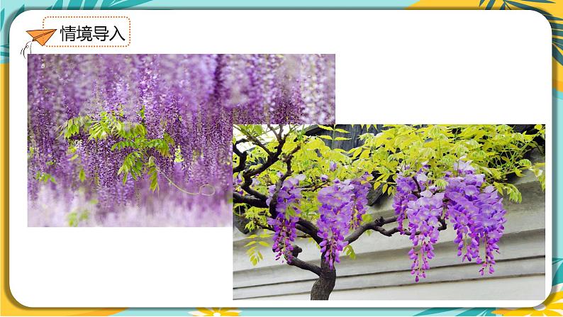 【部编版】语文七年级下册 第五单元 第18课 紫藤萝瀑布 课件03