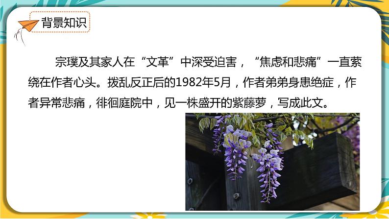 【部编版】语文七年级下册 第五单元 第18课 紫藤萝瀑布 课件07