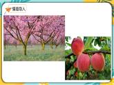 【部编版】语文七年级下册 第五单元第19课 一颗小桃树 课件