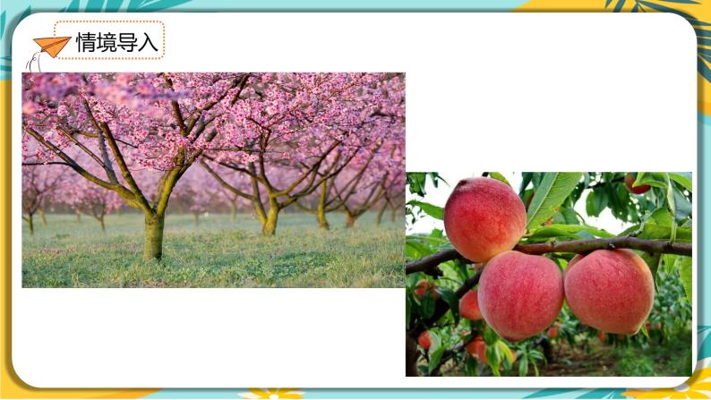 【部编版】语文七年级下册 第五单元第19课 一颗小桃树 课件02