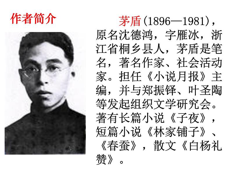 白杨礼赞 课件02