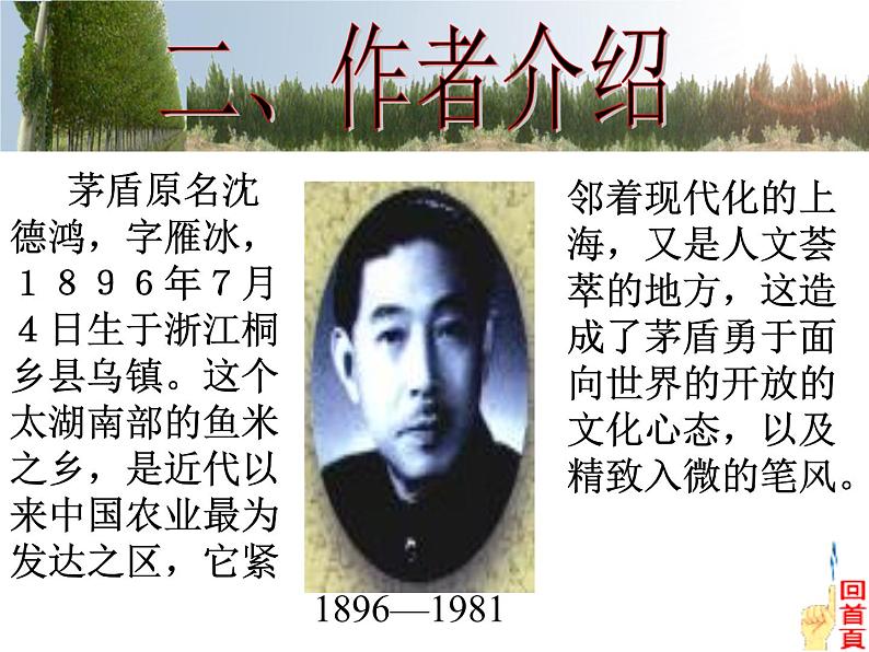 白杨礼赞 课件03