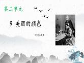 9 美丽的颜色（教学课件）-初中语文人教部编版八年级上册