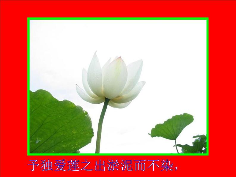 初中语文7下16 爱莲说 PPT视频朗读教学课件第6页