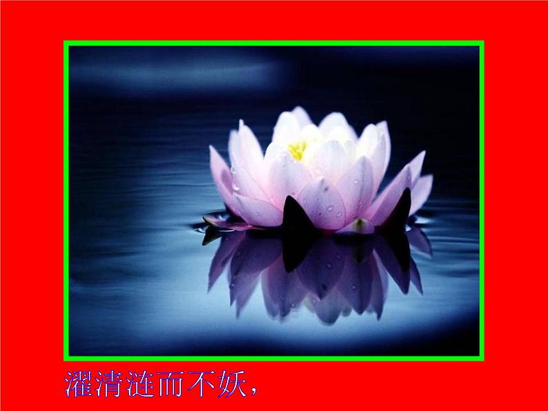 初中语文7下16 爱莲说 PPT视频朗读教学课件第7页