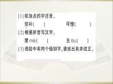 语文8上 8 列夫· 托尔斯泰教学课件