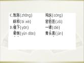语文8上 17 昆明的雨教学课件