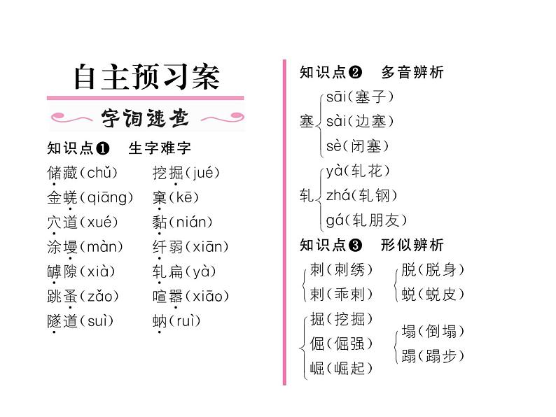 语文8上 19  蝉  练习题试题课件02