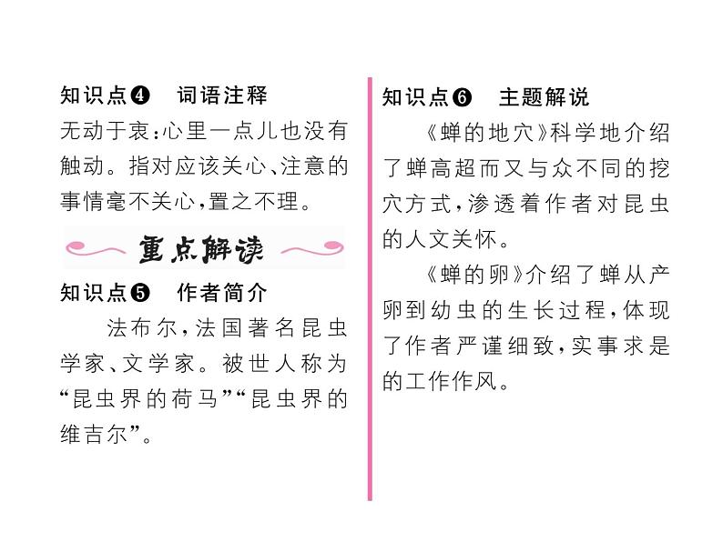 语文8上 19  蝉  练习题试题课件03
