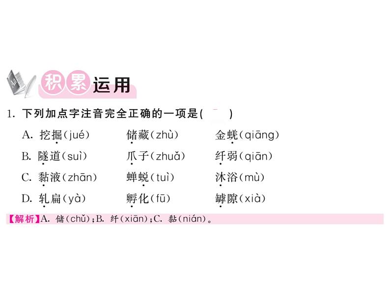 语文8上 19 蝉   习题试题课件02