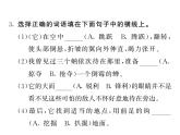 语文8上 19 蝉   习题试题课件