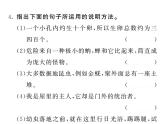 语文8上 19 蝉   习题试题课件