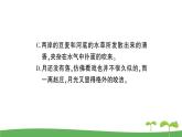 语文八下1 社戏教学课件