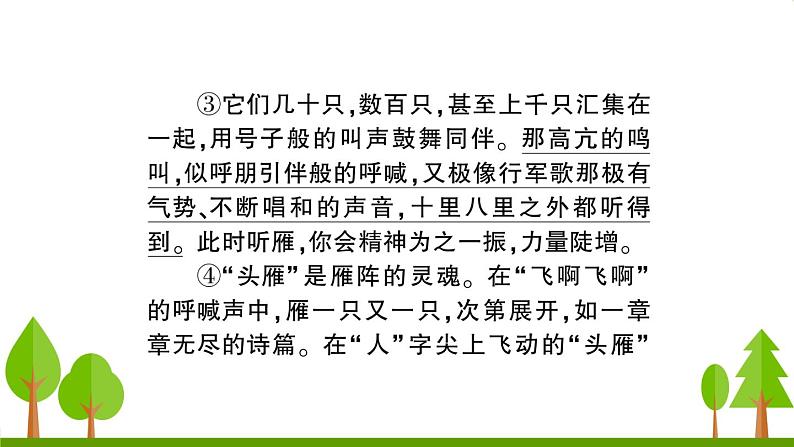 语文八下7 大雁归来教学课件06