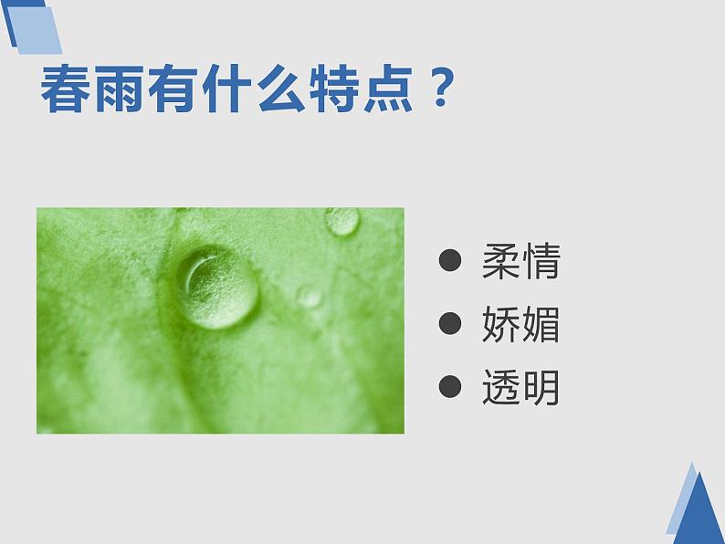 部编本语文《雨的四季》PPT课件07