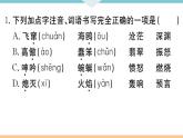 初中语文9下4 海燕习题课件