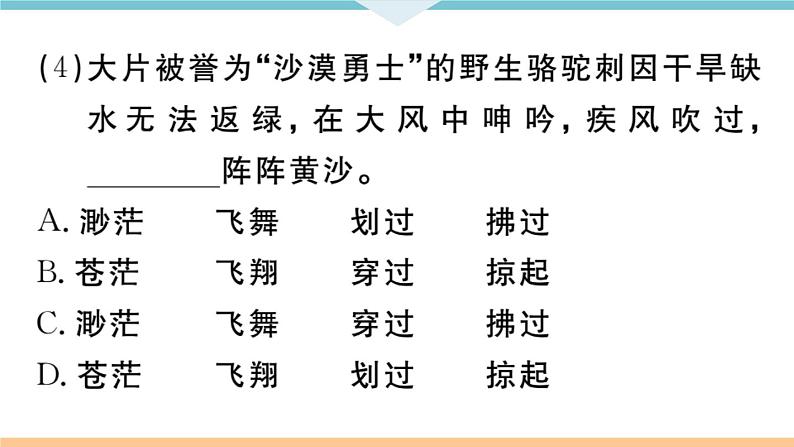 初中语文9下4 海燕习题课件04