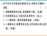 初中语文9下4 海燕习题课件