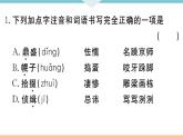 初中语文9下18 天下第一楼（节选）习题课件