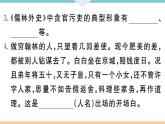 初中语文9下名著导读——《儒林外史》：讽刺作品的阅读习题课件