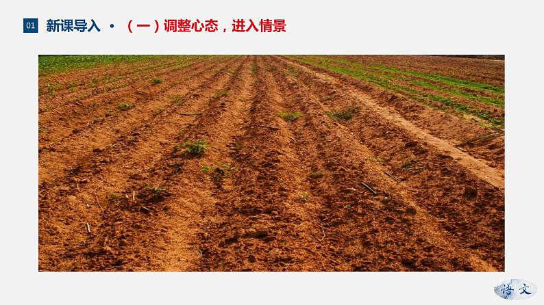 （优质课件）语文九上2《我爱这土地》第4页