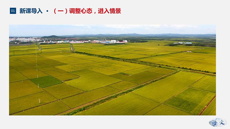 （优质课件）语文九上2《我爱这土地》第5页