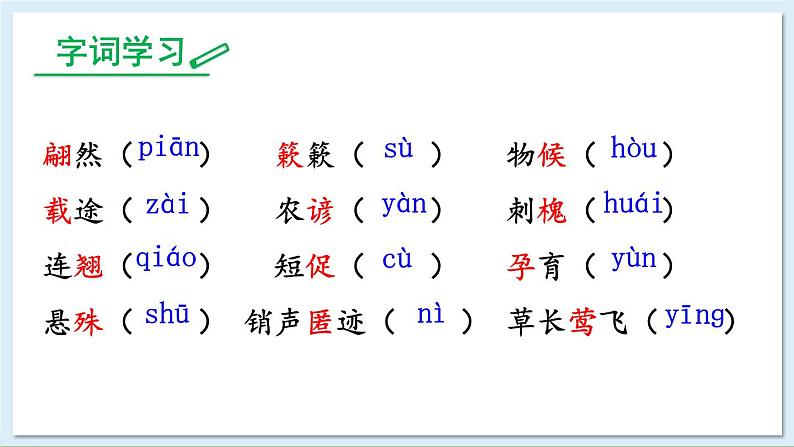 5 大自然的语言第6页