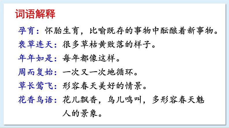 5 大自然的语言第7页