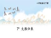 新课标人教版语文八年级下册 第二单元 7 大雁归来 PPT课件