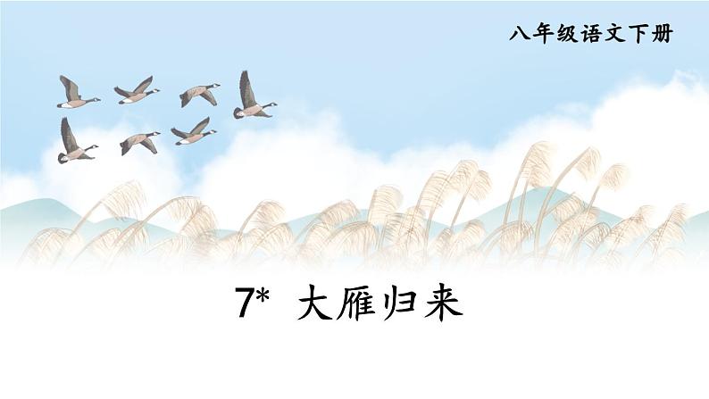 7 大雁归来第2页