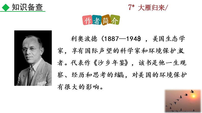 7《大雁归来》教学课件第4页