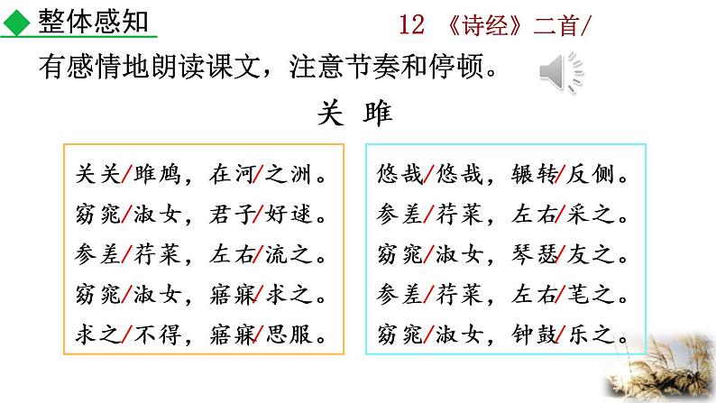 12 《诗经》二首教学课件第8页