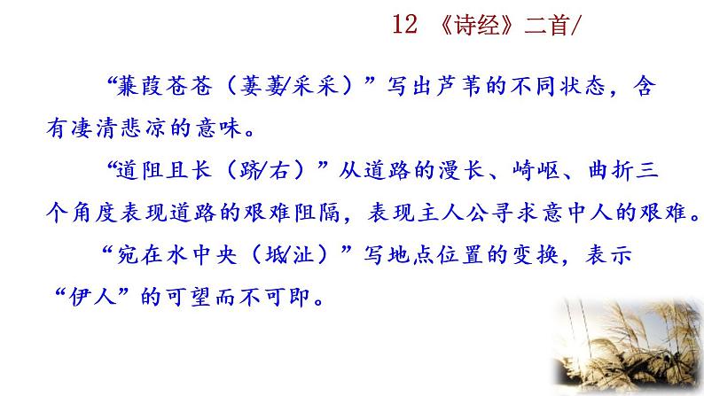 12 《诗经》二首探究积累课件第3页