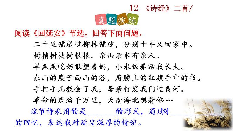 12 《诗经》二首探究积累课件第8页